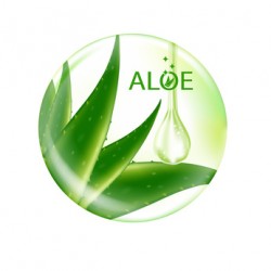 Aloe Vera jus 1/2 litre :Le + haut taux de polysaccharides
