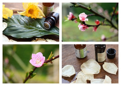 Bienfaits huiles essentielles